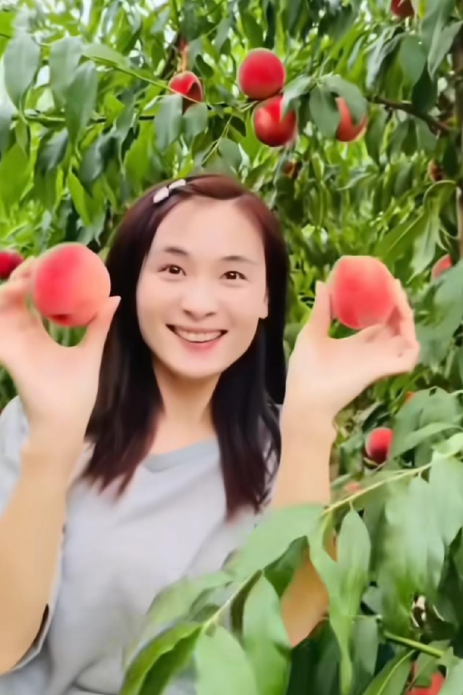 天公不作美，瑾汐来到山西运城，本计划要直播带货桃子，谁料一直下雨，感觉桃子的口感