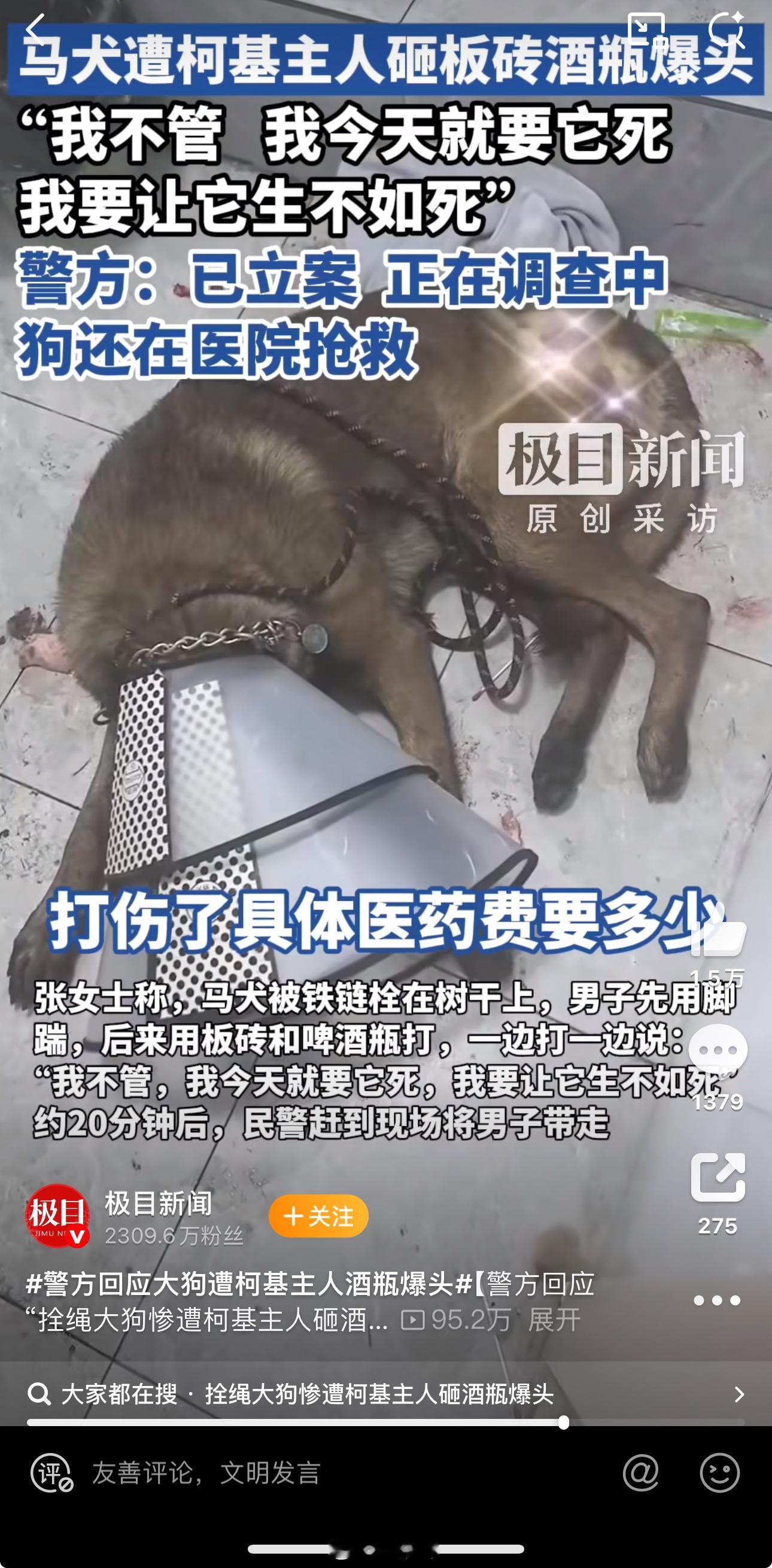 警方回应大狗遭柯基主人酒瓶爆头更应该作出回答的应该是杭州市综合行政执法局，很简单