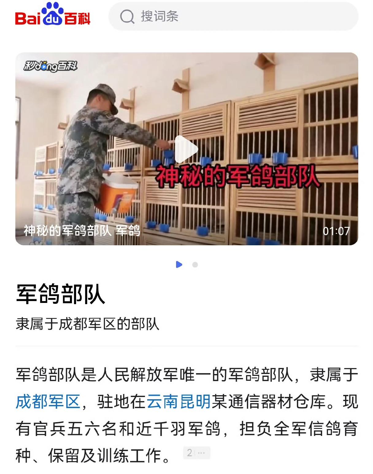为了以防万一，我们至今还保留着信鸽部队，万一在失去任何电子通信的情况下，可以用信
