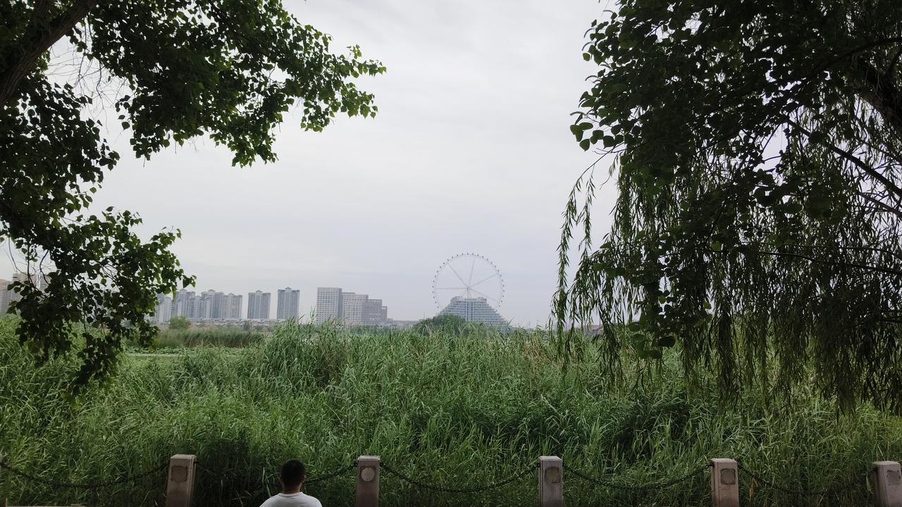 聊城的东昌湖绝对是咱本地人夏天遛弯的优秀之选，沿着16公里的湖岸线慢慢晃，傍晚的