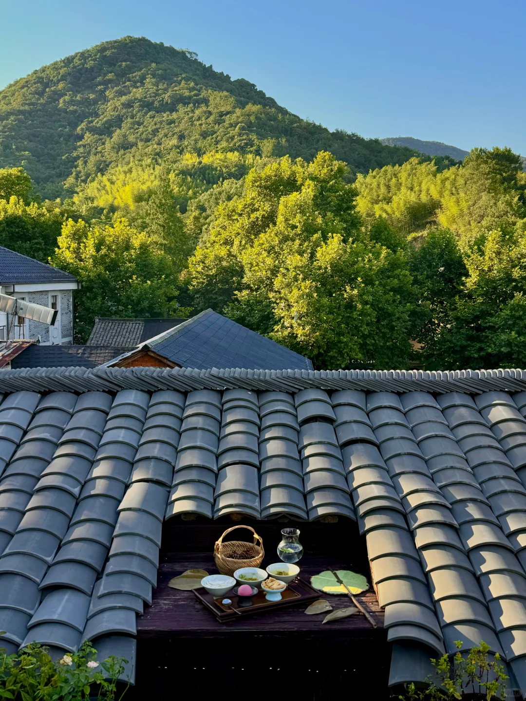 我在莫干山花的最值的30块钱！！