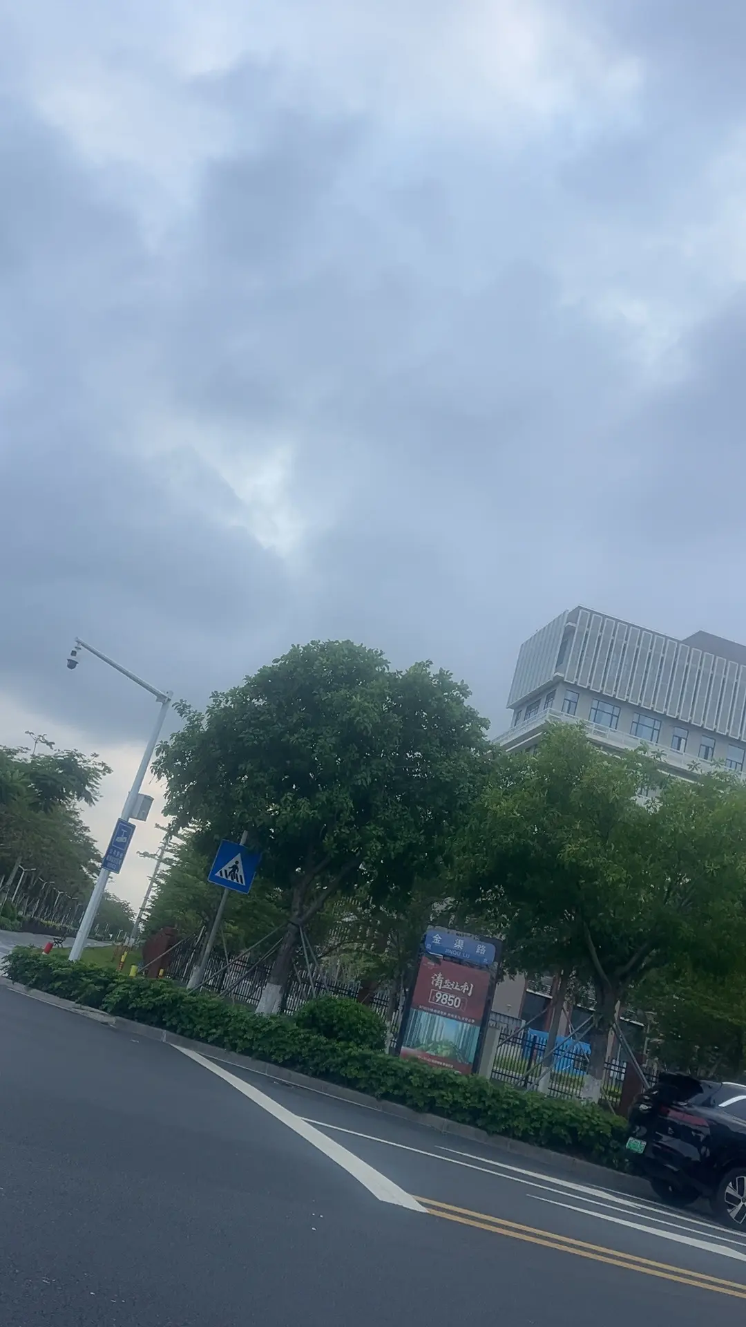 这座城市有风也有雨