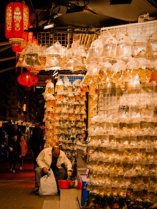 春节香港怎么玩？看这篇攻略就够了～
