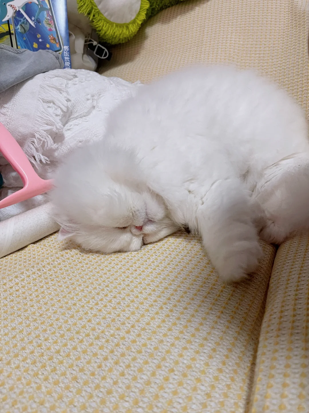 脸压扁了