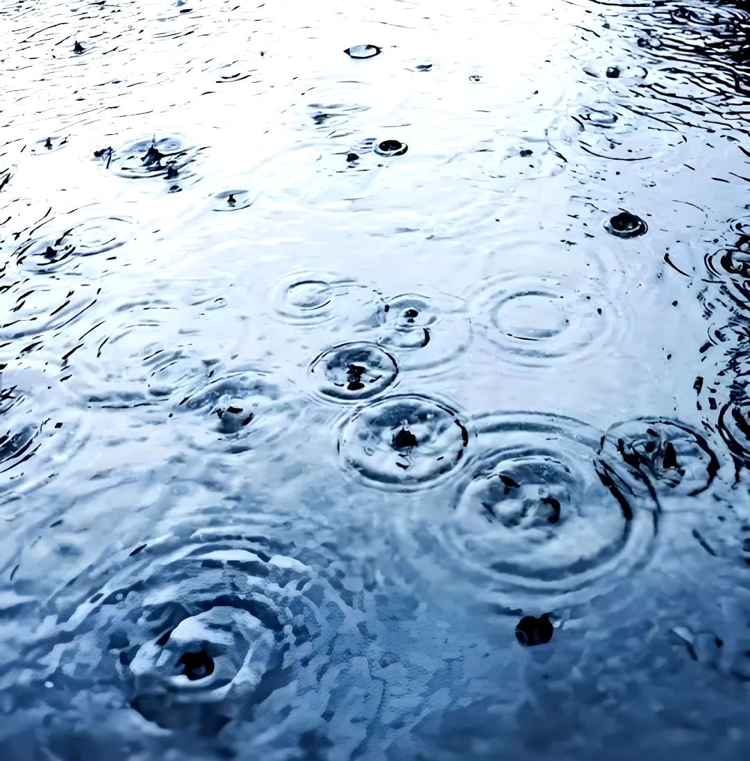 “山本起司说：“下次你撑伞低头看水洼，就会想起我说的，雨是神的烟花。”” 