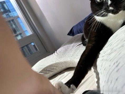 起飞回家中，旅程结束了米之挽留… 
