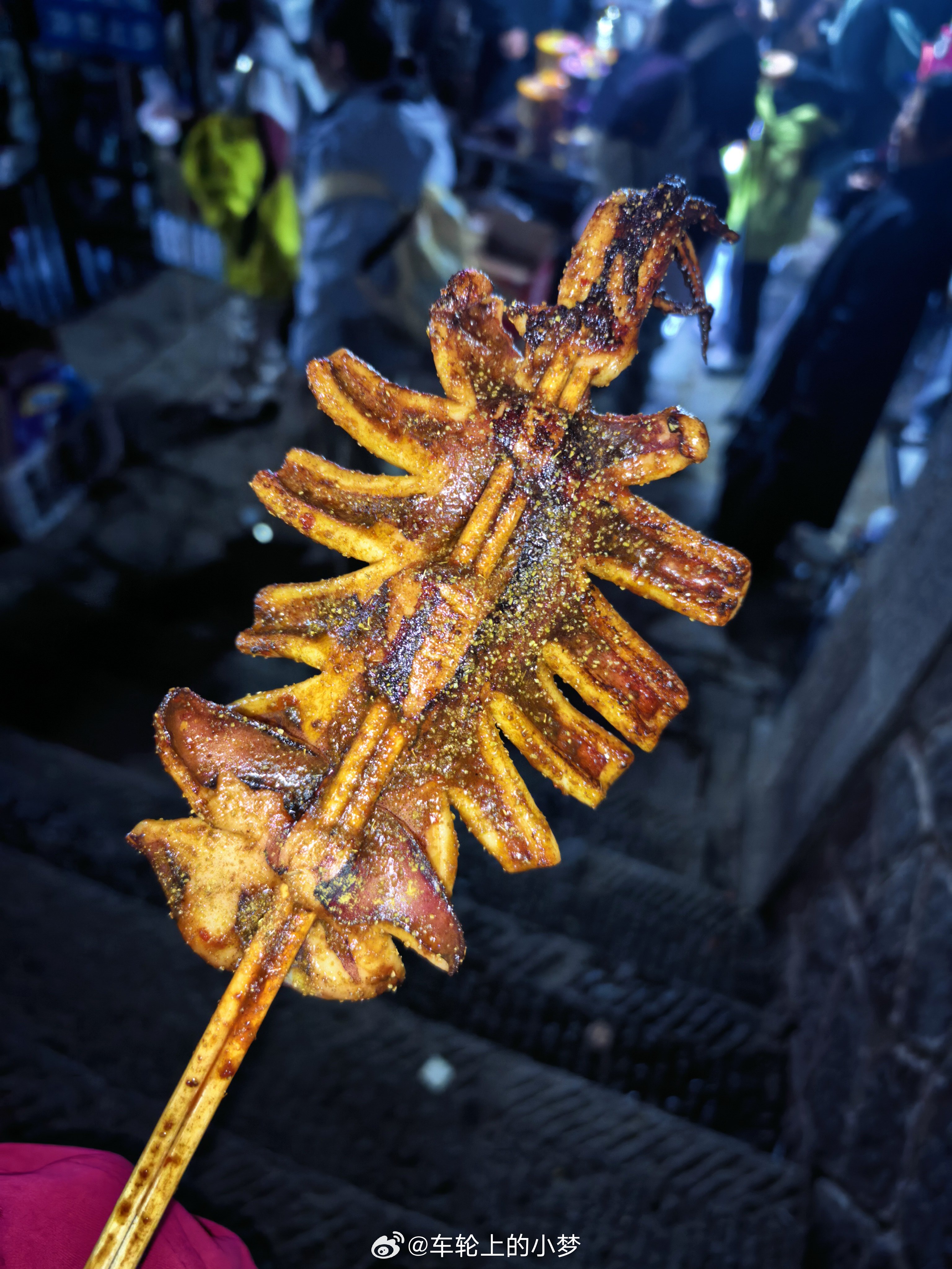 10元3根的烤肠，10元4根的黄瓜，25元一根的鱿鱼。爬山途中整的，这价格是不是