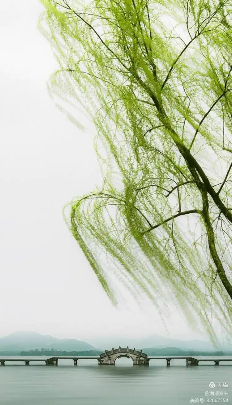 （图片来自网络）