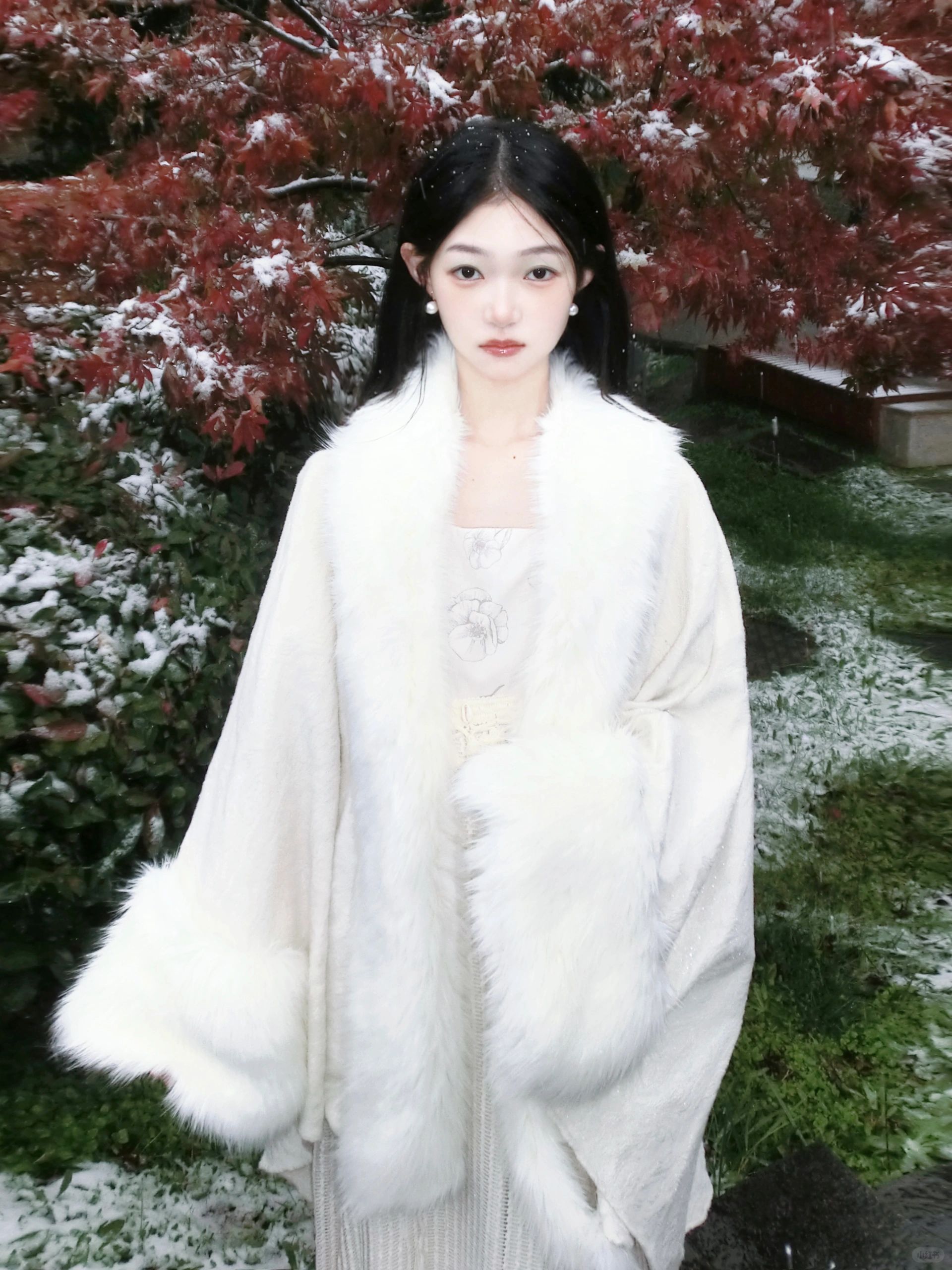 ❄️苍山负雪 明烛天南