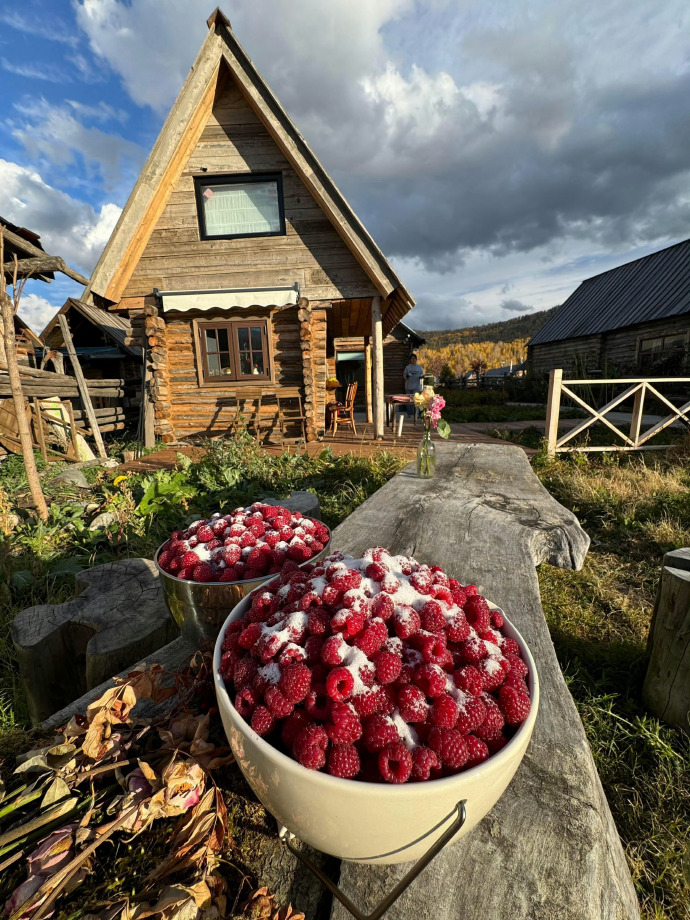 阿勒泰的秋天🍂 
