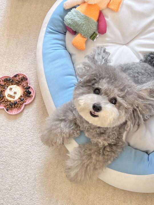 当朋友问我周末在家都和谁玩