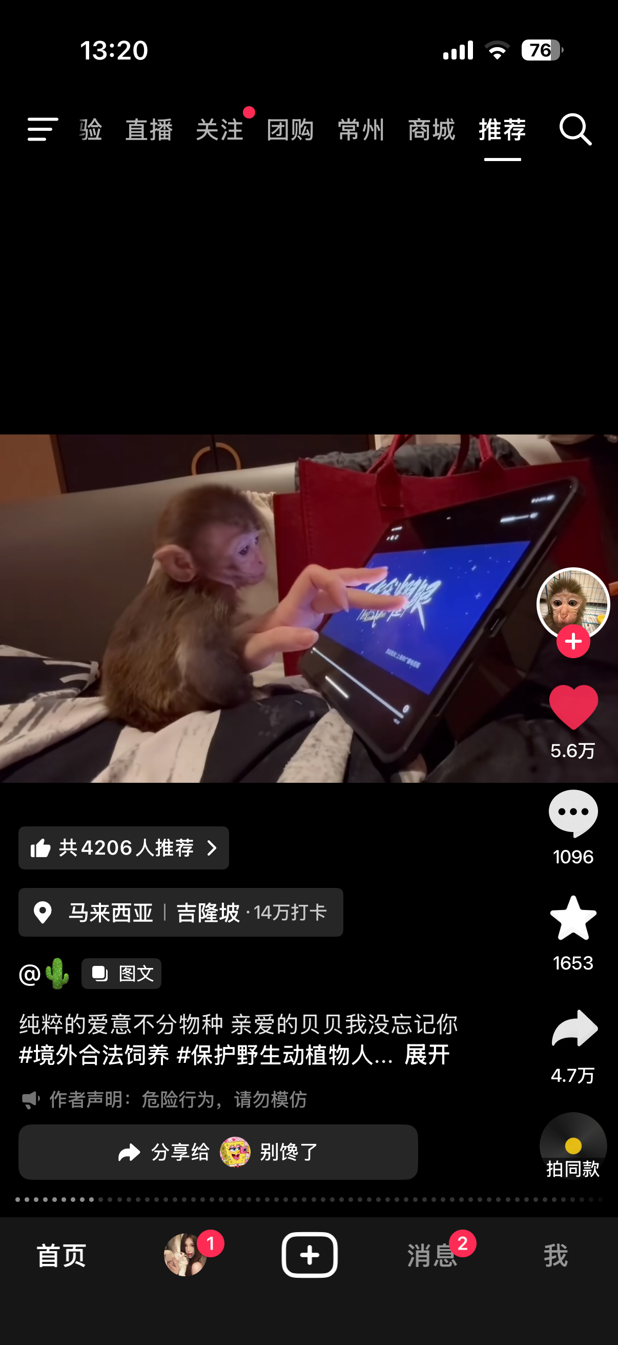 刷到养猴子的博主也能看到许我耀眼 
