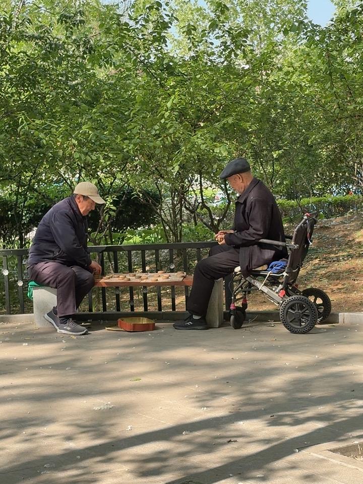 不服来战杀一盘，
楚河汉界起硝烟。
将帅勇猛車马炮，
小卒过河敢争先。
就是不能