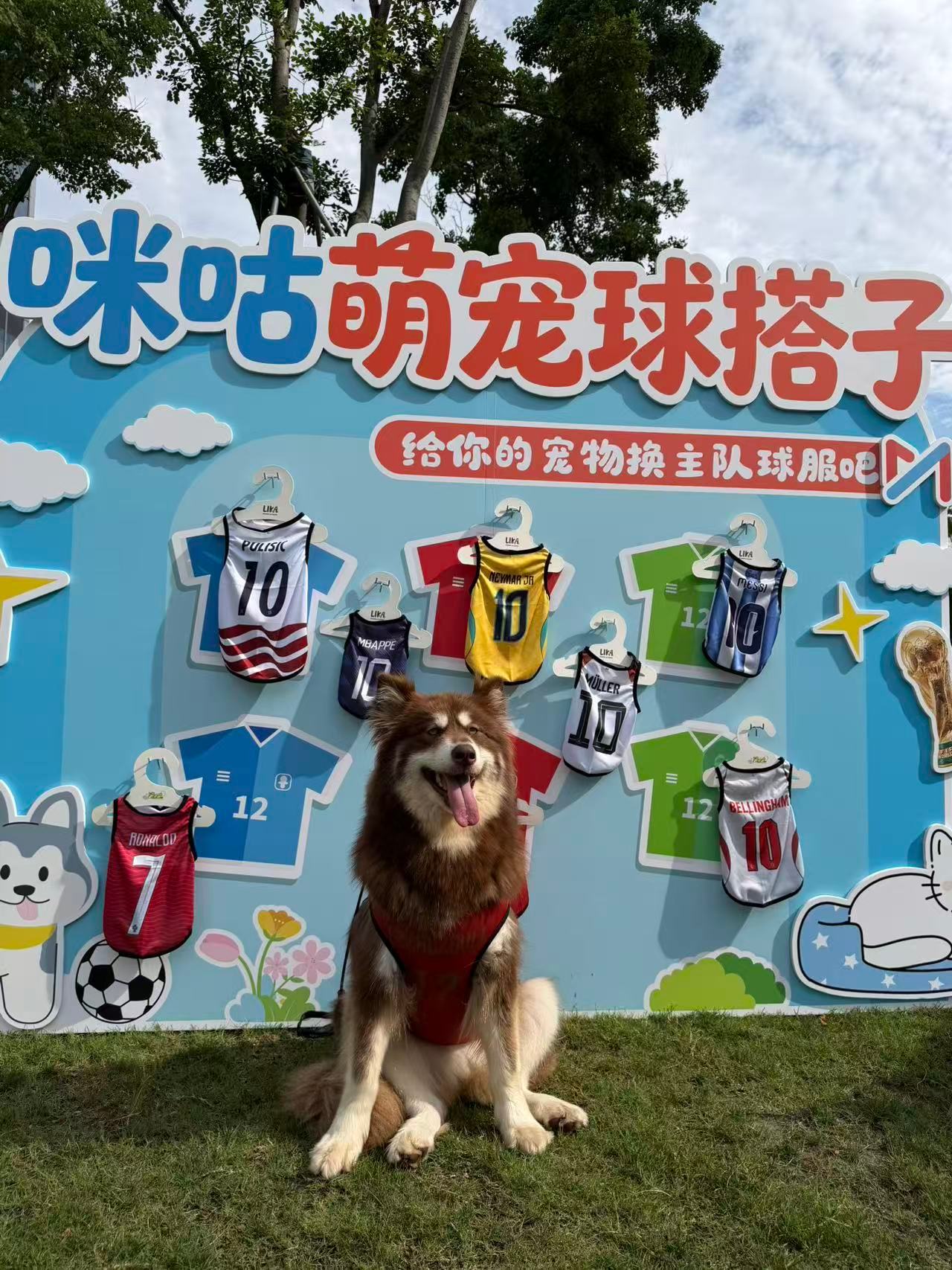 上海小狗也来预测世界杯了徐汇嘉年华解锁全新玩法，小狗跨界预测世界杯比拼AI。汪星