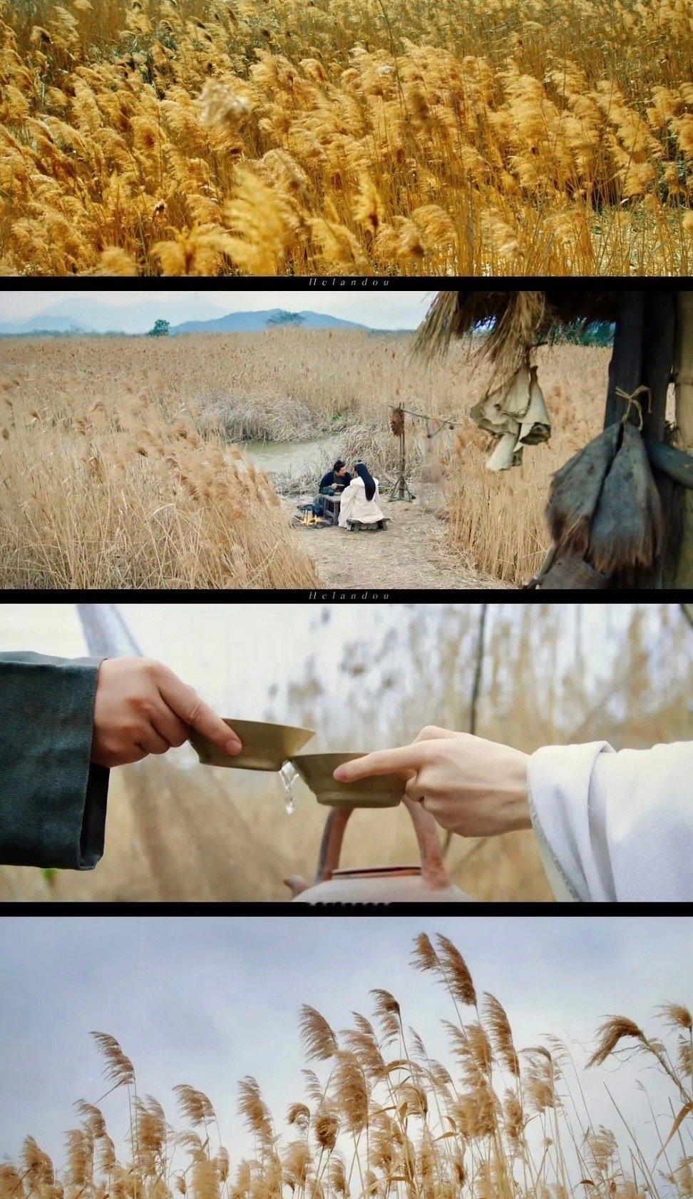 成毅长安二十四计神级运镜 看完《长安二十四计》被运镜震撼到！芦苇荡场景的镜头推移