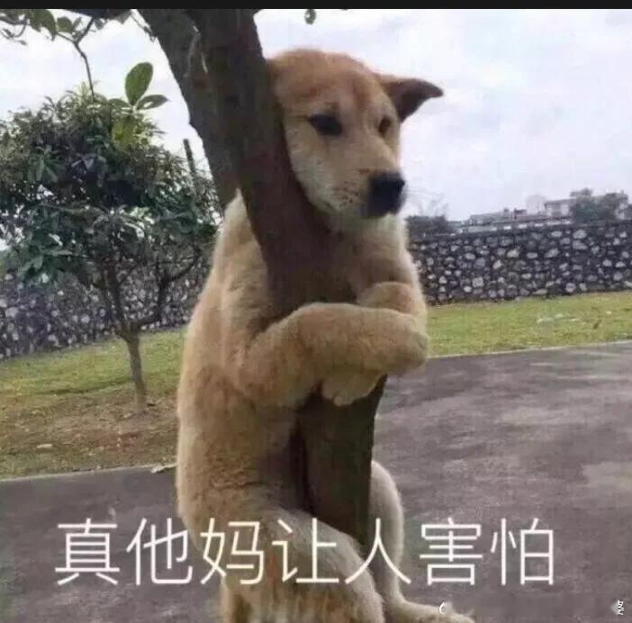 剪映被约谈国家这一波对AI的监管速度反应很快，AI用影像造谣的成本太低，传播速度