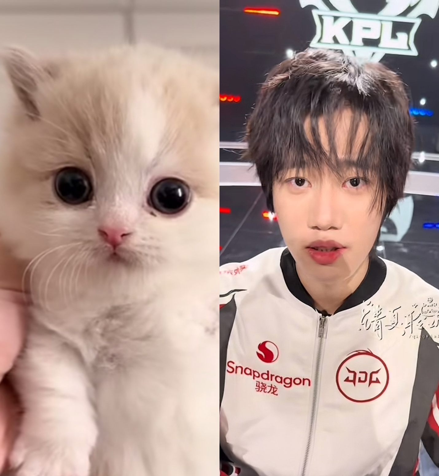好想好想小咪 