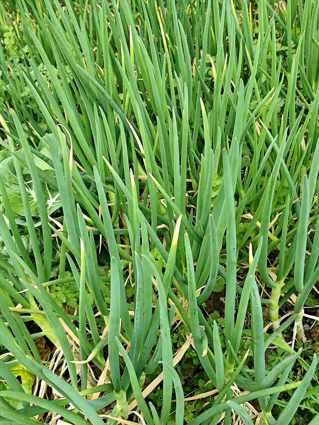 家里有老人的注意了！
这几件事没做，真出了事后悔都来不及！
尤其咱们这拨中年的，