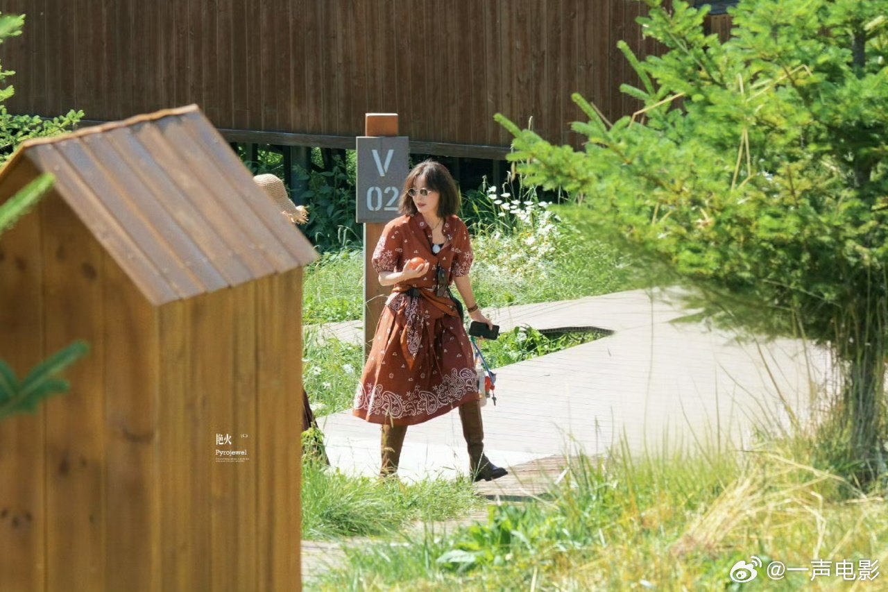 辛芷蕾又一金曲诞生辛芷蕾备战歌手2027向野的我们《向野的我们》路透高光时刻！辛