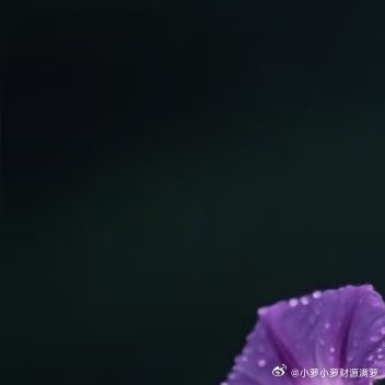 最好的补品心情快乐！最好的运开心的笑着！ 