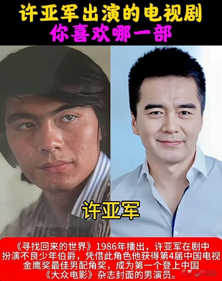 许亚军演的电视剧
你最喜欢哪一部？
会不会都喜欢呢？