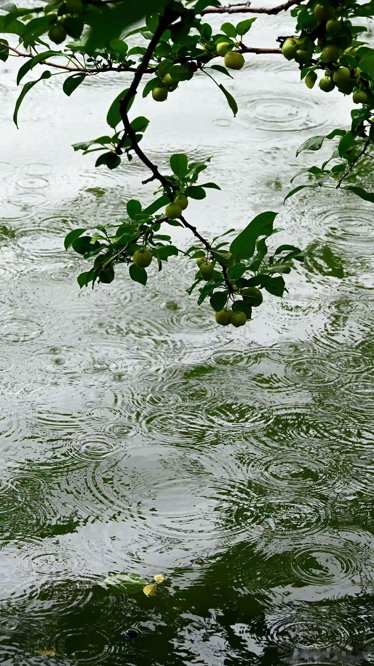 微博会员成长津贴[超话]  人生总有起起落落，面对困难时，保持善良和励志的心态，
