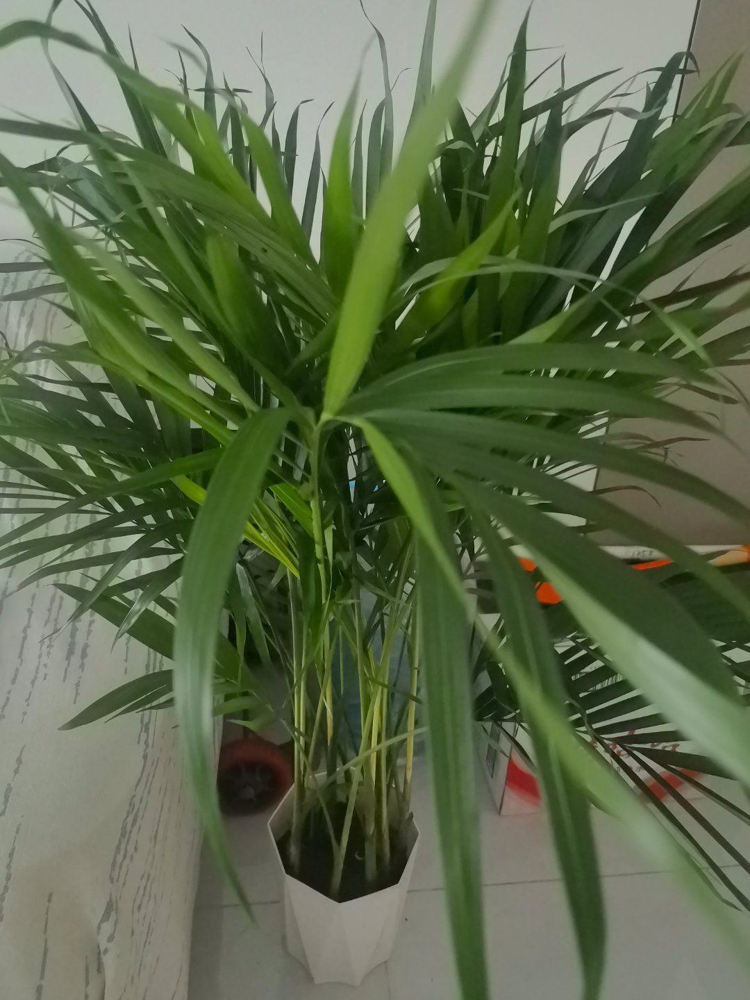 阳光信用每日一善阳光信用 一首甜美的旋律，一束温暖的光芒，一份贴心的关怀，我们用