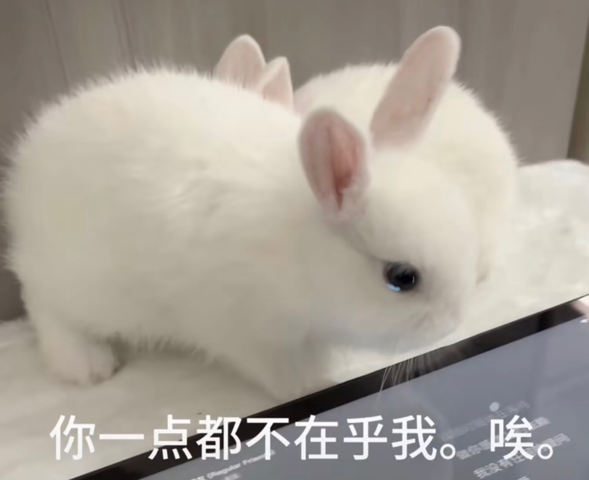 分享图片 ​​​