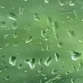 🧱这条带蹭ydl，至少1w，看见的都可以🧱，乱了自己删（没礼貌的别来）传播正