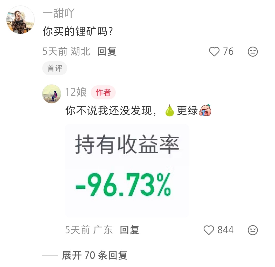 我只能买锂矿的承受了太多 