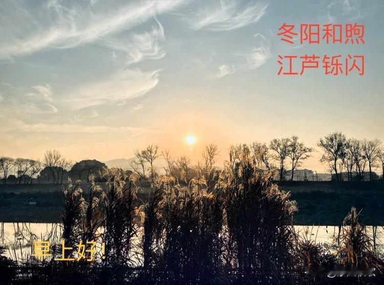 分享一下你随手拍下的照片