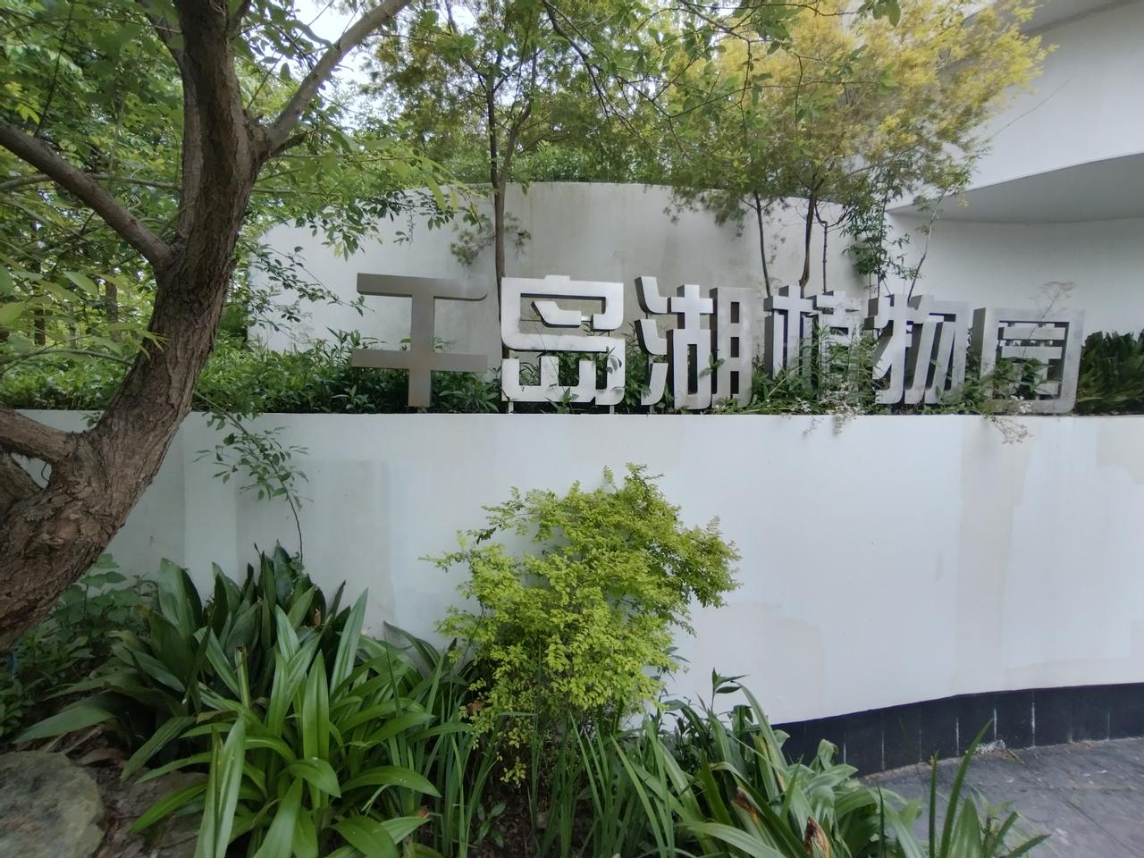 今天游览鹿岛。
莫说少人路幽静，正有百鸟自在啼。鹿岛，也是千岛湖的植物园。入园早
