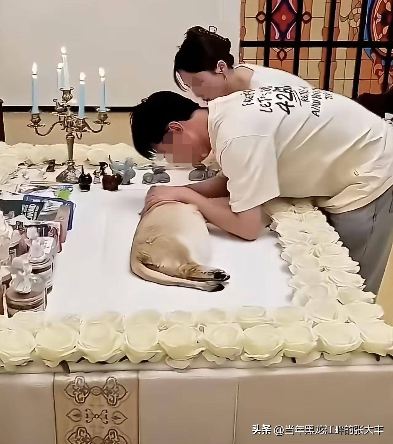 刚刚看到一个图文 ……

狗死了，两个狗主人悲痛欲绝，花十五万为狗举办了隆重的葬