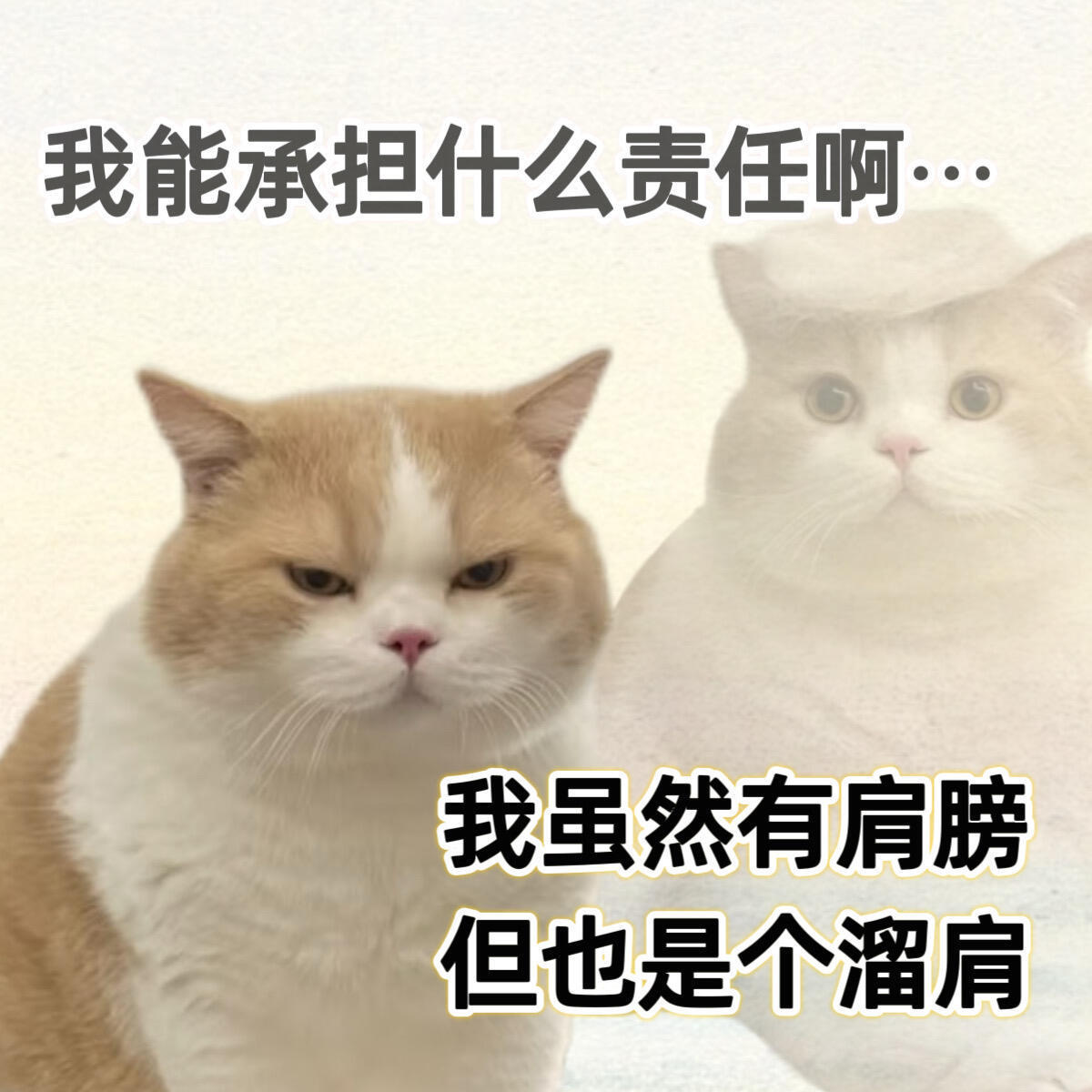 想过很多种情况过敏，没想到过敏源居然是猫毛皮屑，直接射了出去我服了，那我这么多年