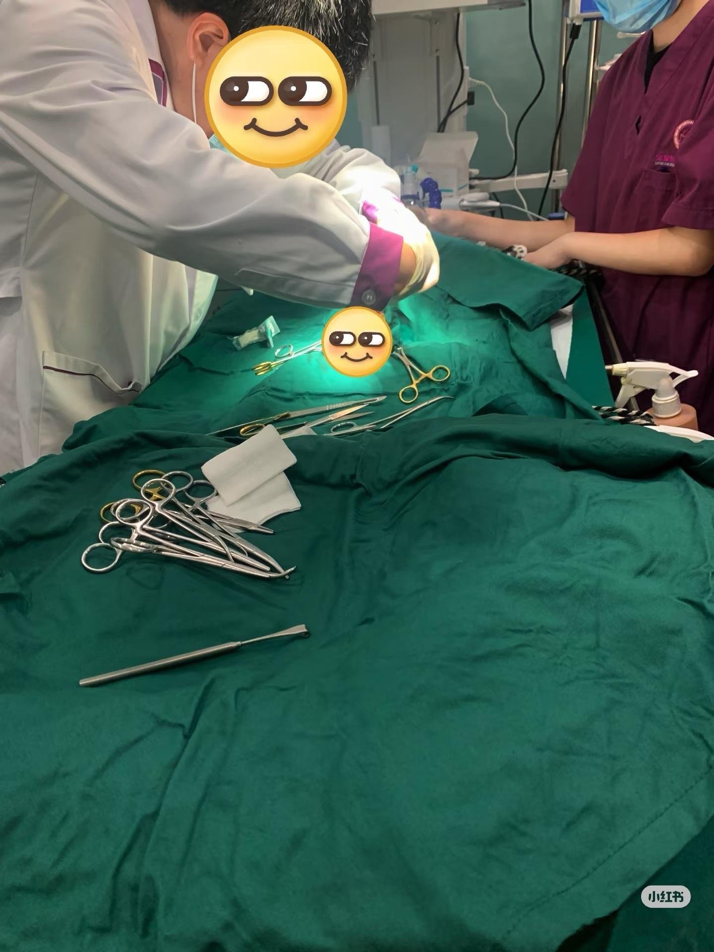 我家公猫被当成母猫做了绝育这事真不能怪我。 当时去宠物医院之前，我曾经反复观察确