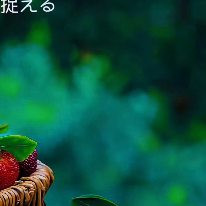 日行一善 💚 阳光信用 以德化人，厚德而行，福自至矣。以书育人，以书引善，以书