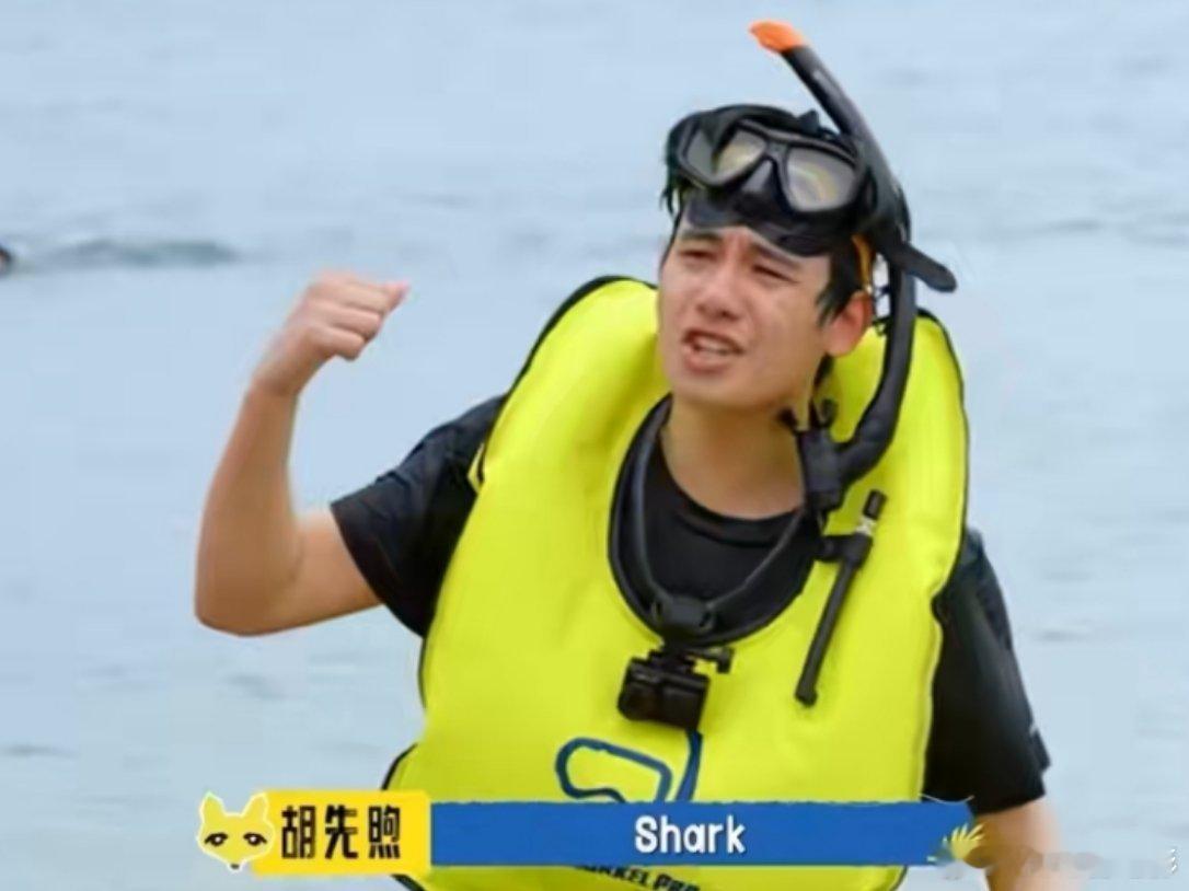 深海恐惧症犯了😱别说胡先煦了，我隔着屏幕都害怕折鲨鱼🦈浮潜真的是胆子大的人的
