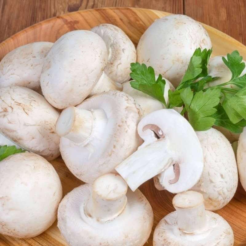 钾含量是香蕉10几倍，低调的补钾冠军要数口蘑
有时我们会感觉坐着不动，汗水也会顺