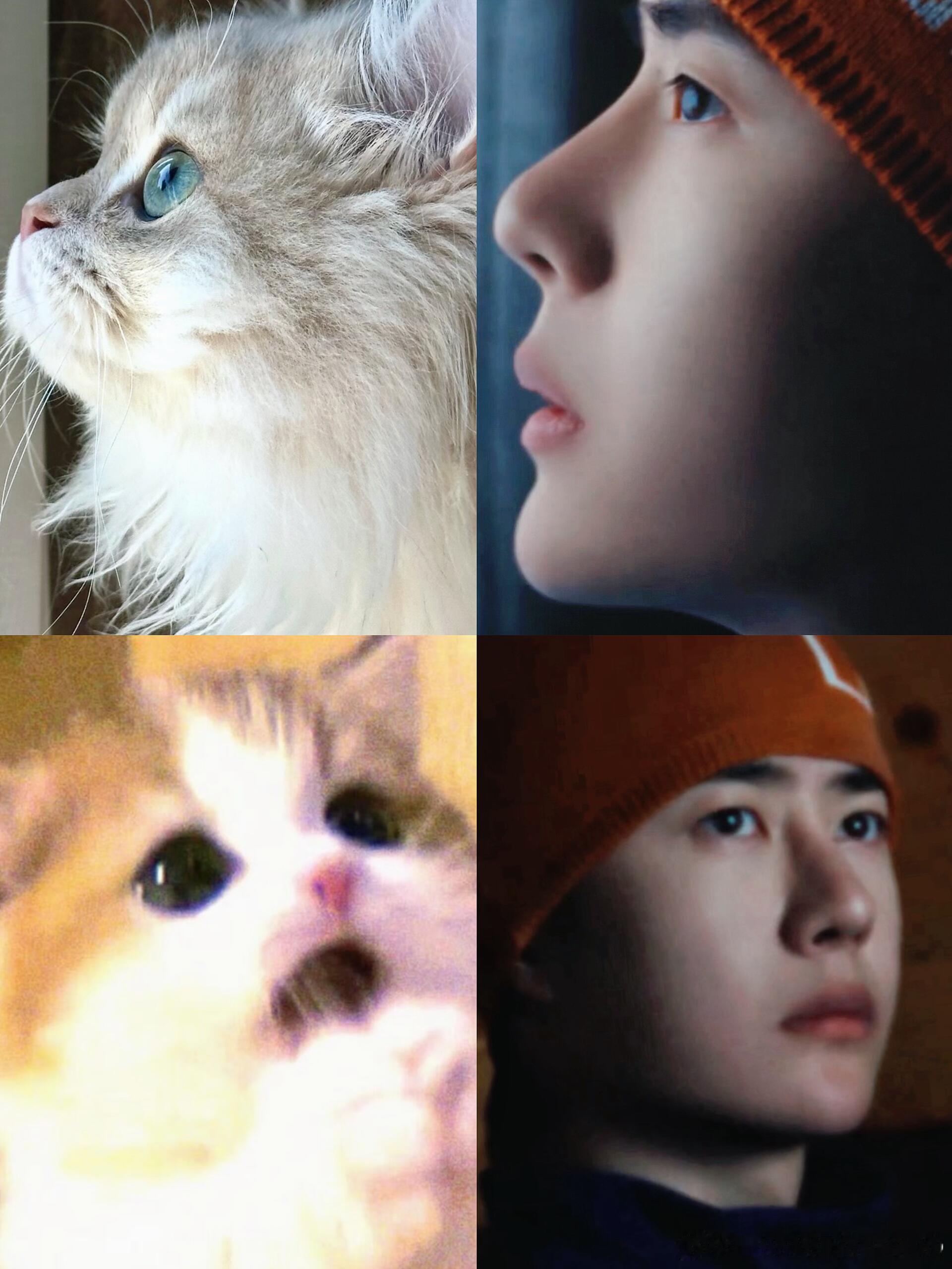 博咪 ​​​