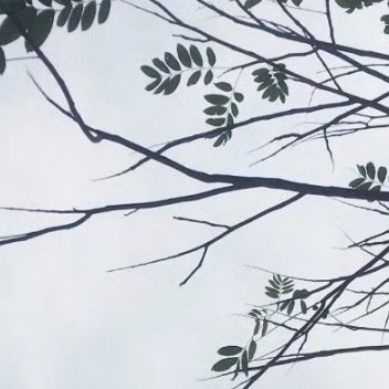0930如果你不相信努力和时光，那么成果就会是第一个选择辜负你的。不要去否定你自