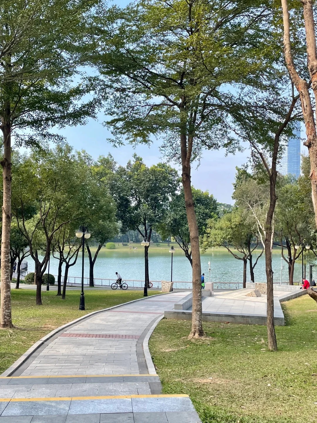 深圳中心公园｜这个公园的生命力好强啊。 ​​​