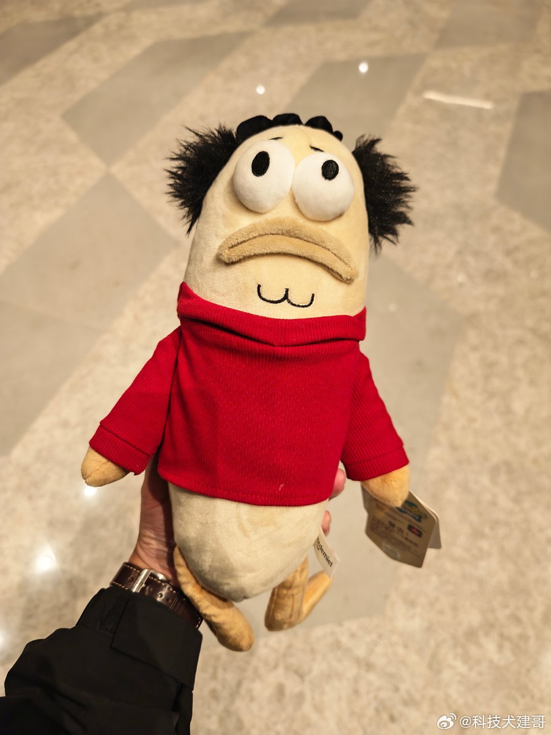 科技犬建哥随手拍 据说这俩特别稀有，喜欢哪个？ 