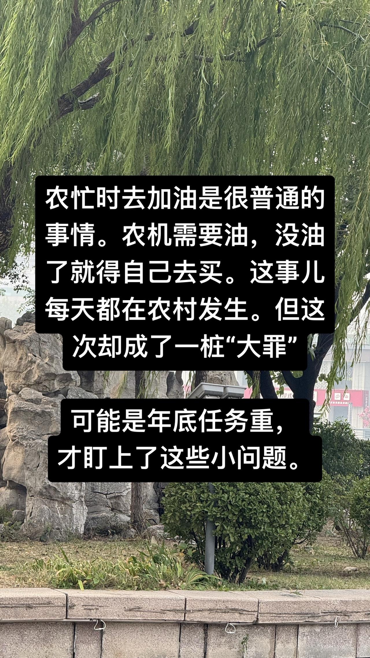 多方回应村民开皮卡打柴油被罚