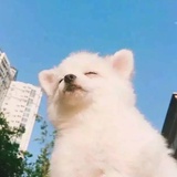 敏儿聚聚美女