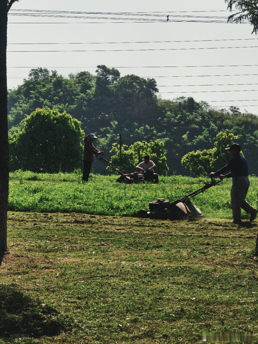 阳光下的公园日常，是挥汗除草的身影，也是远处过山车沉默的剪影。黄文说摄影世界特朗