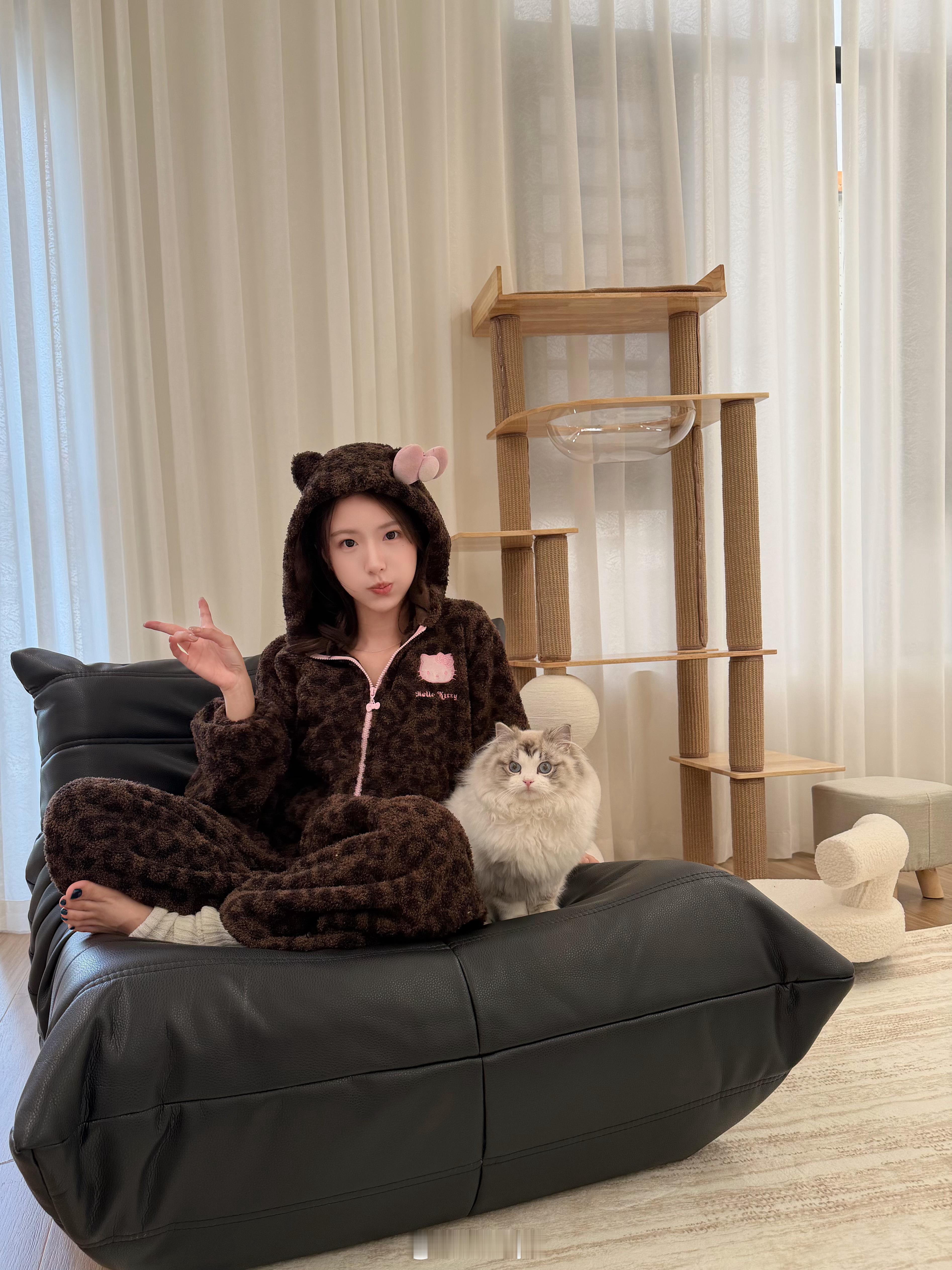 养了小猫变得更宅了 