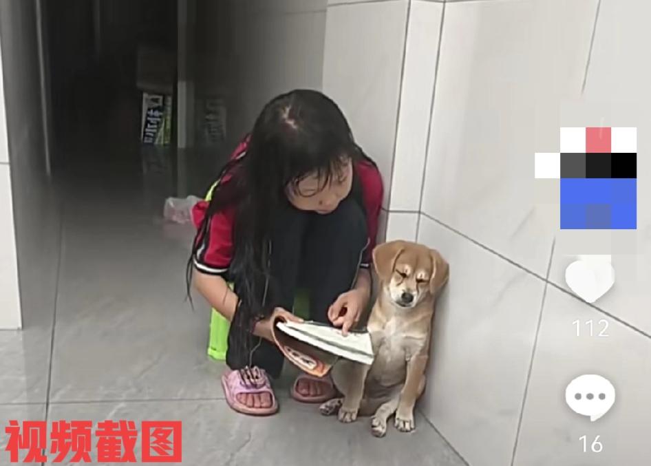 狗狗的委屈，小主人给它上课，太累。

有小女孩放学一回家就要给狗狗“上课”，狗狗