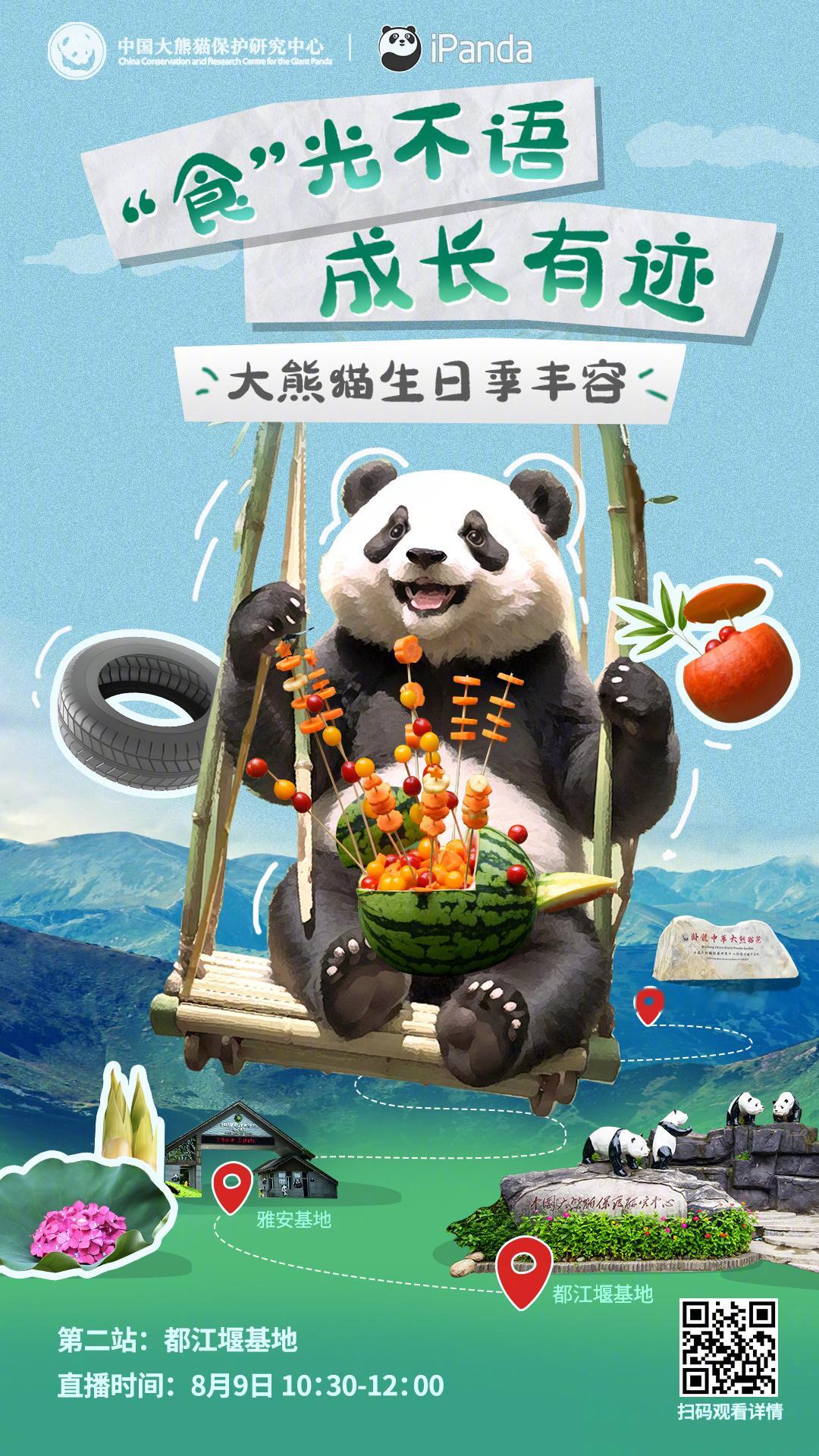 【直播预告：#大熊猫生日季丰容#第二站——都江堰基地】[比耶]国宝们的夏天这样过