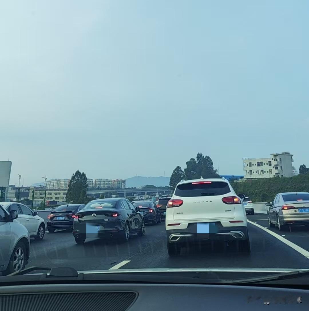 今天国庆节高速公路上确实是够堵的，从珠三角回来湛江，起码要10个小时以上。家在广