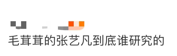 毛茸茸的张艺凡到底谁研究的毛茸茸的张艺凡到底谁研究的！海边穿黑羽绒服的张艺凡，戴